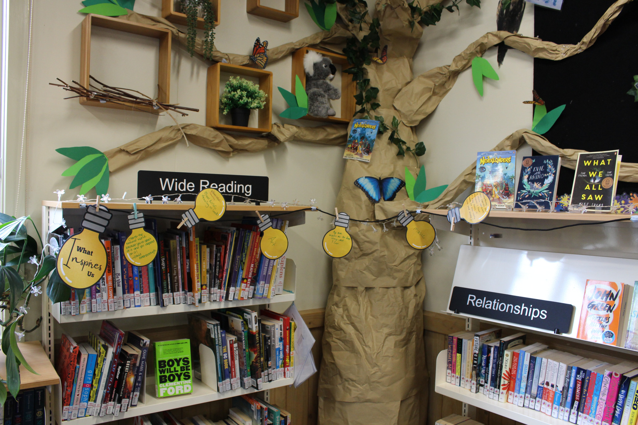 Boab Tree for Book Week