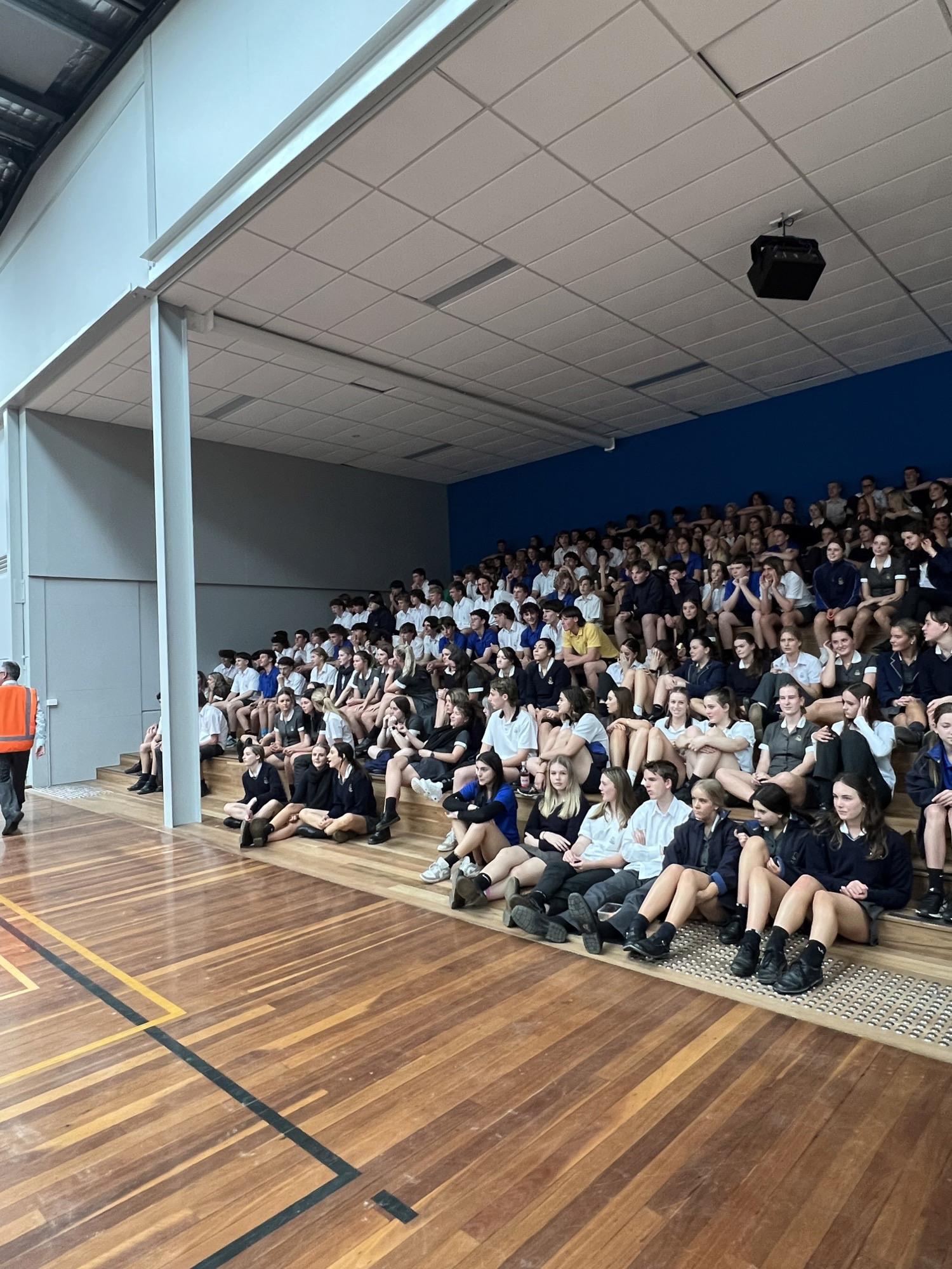 Bsaketball audience