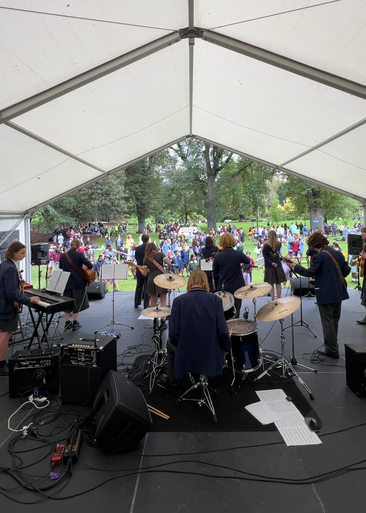 Concert In The Park