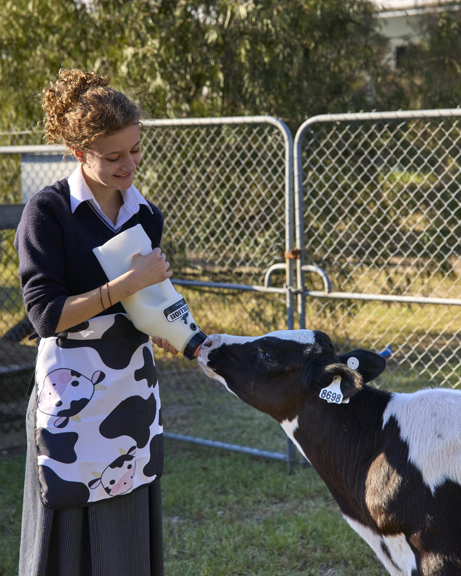 Cows Create Careers 2025 Mornington 3