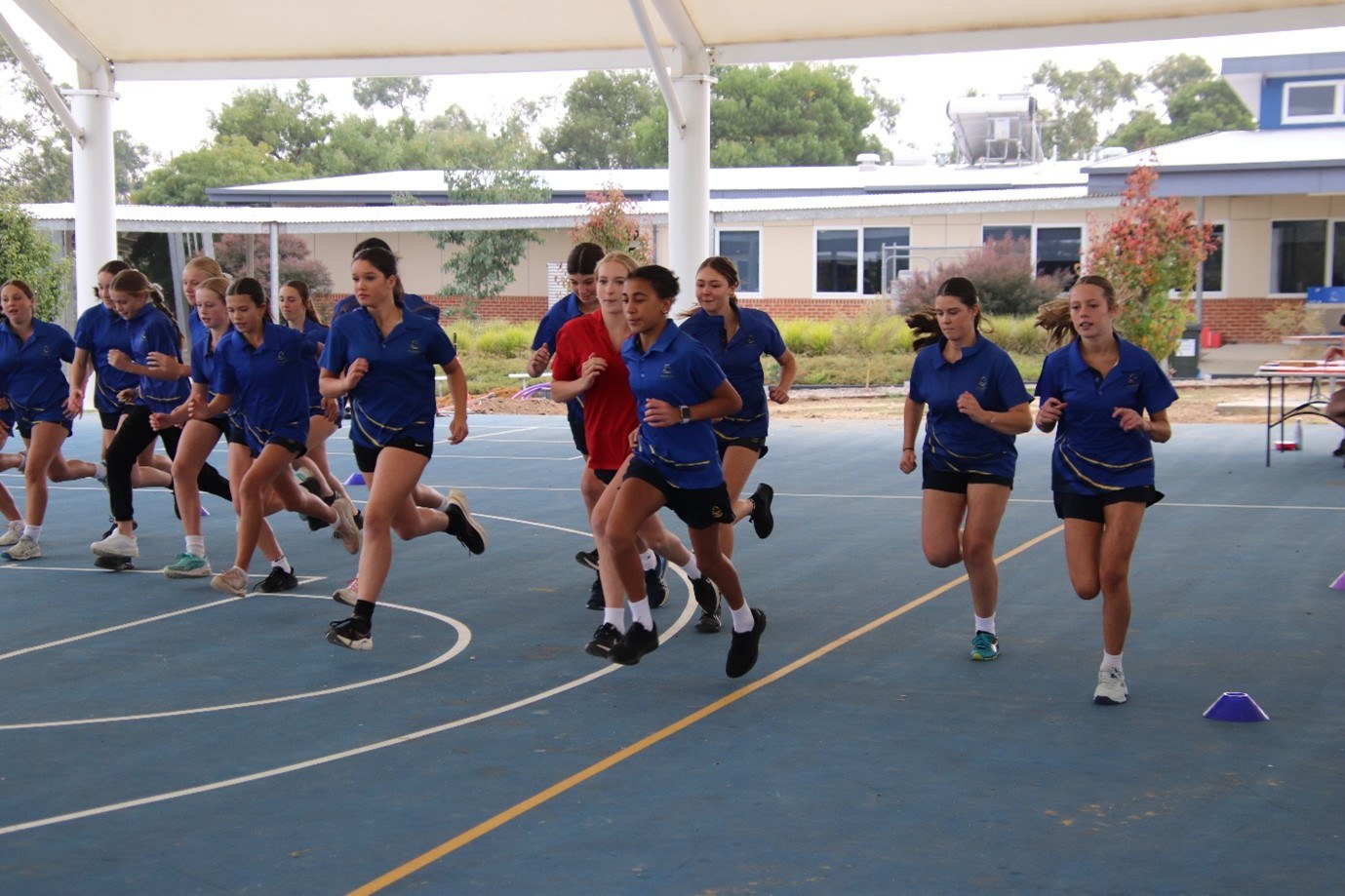 Cross country 1