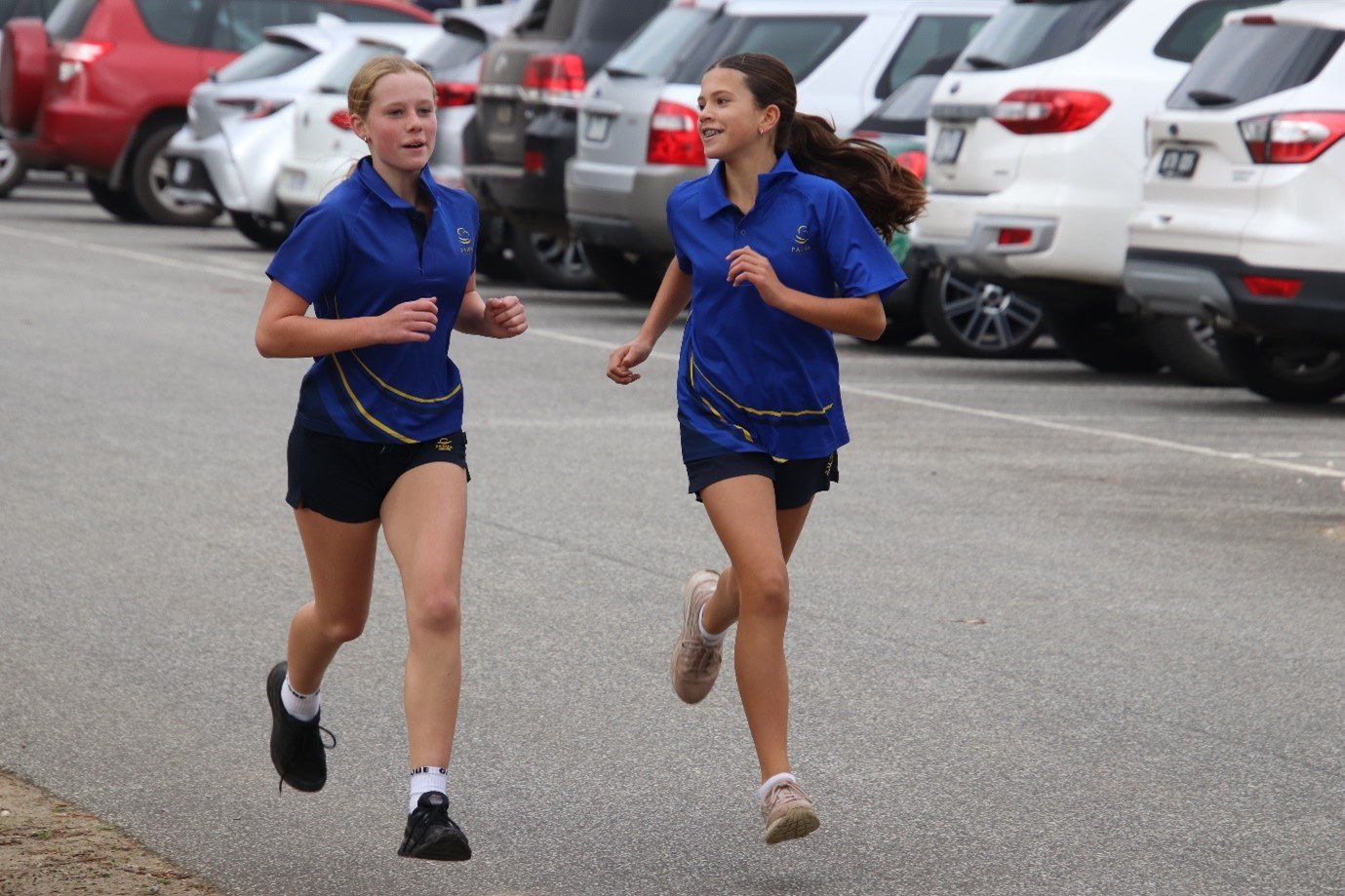 Cross country 2