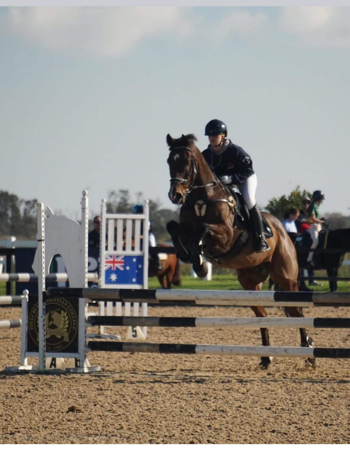 Grace Hamilton Petstock Interschool 90 95cm