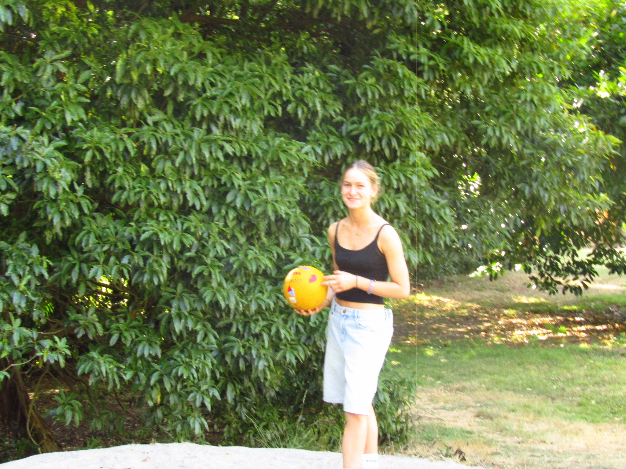 IMG 1498