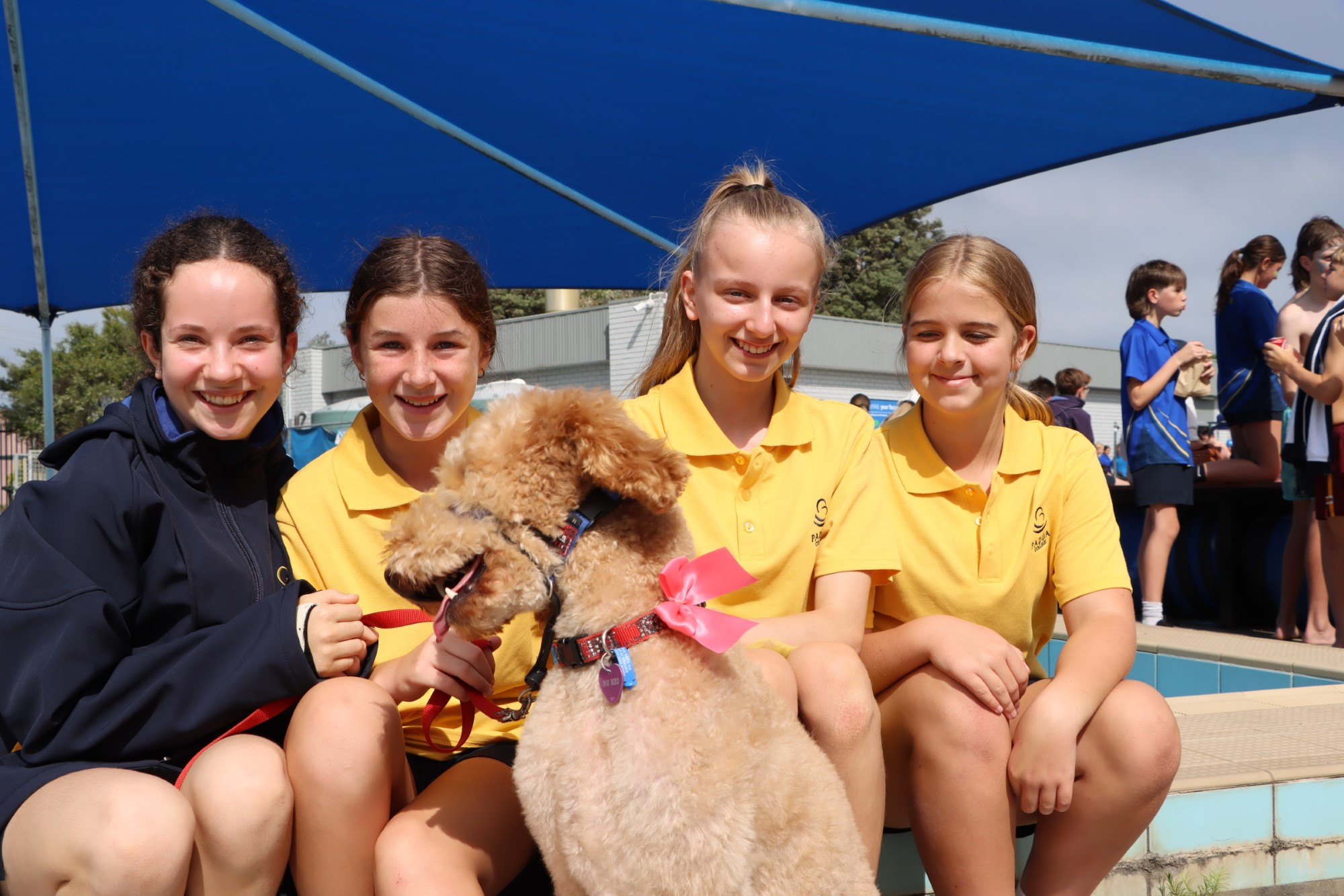 M Junior Swimming Canrival 2023 20
