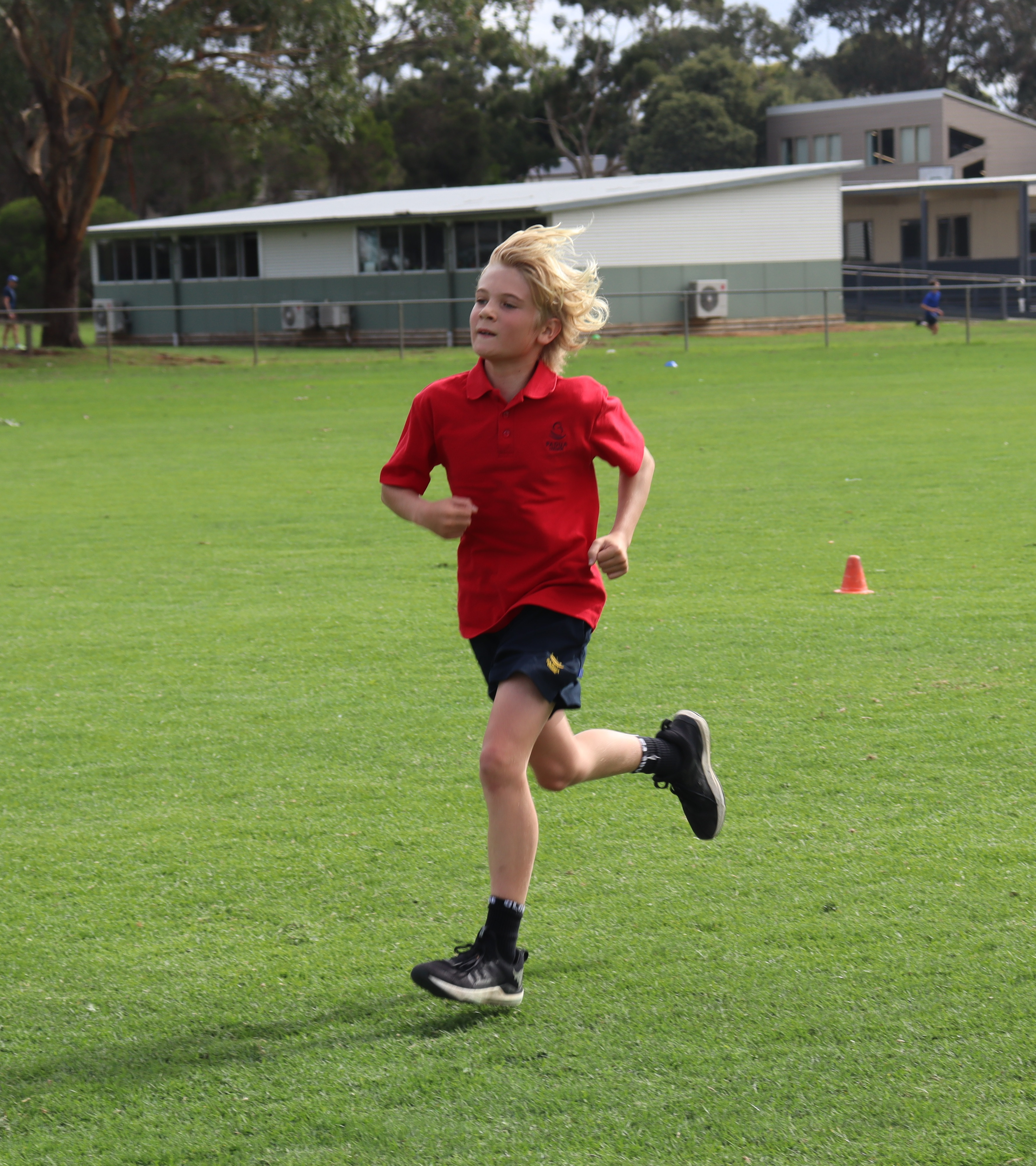 Mornington IMG 0011