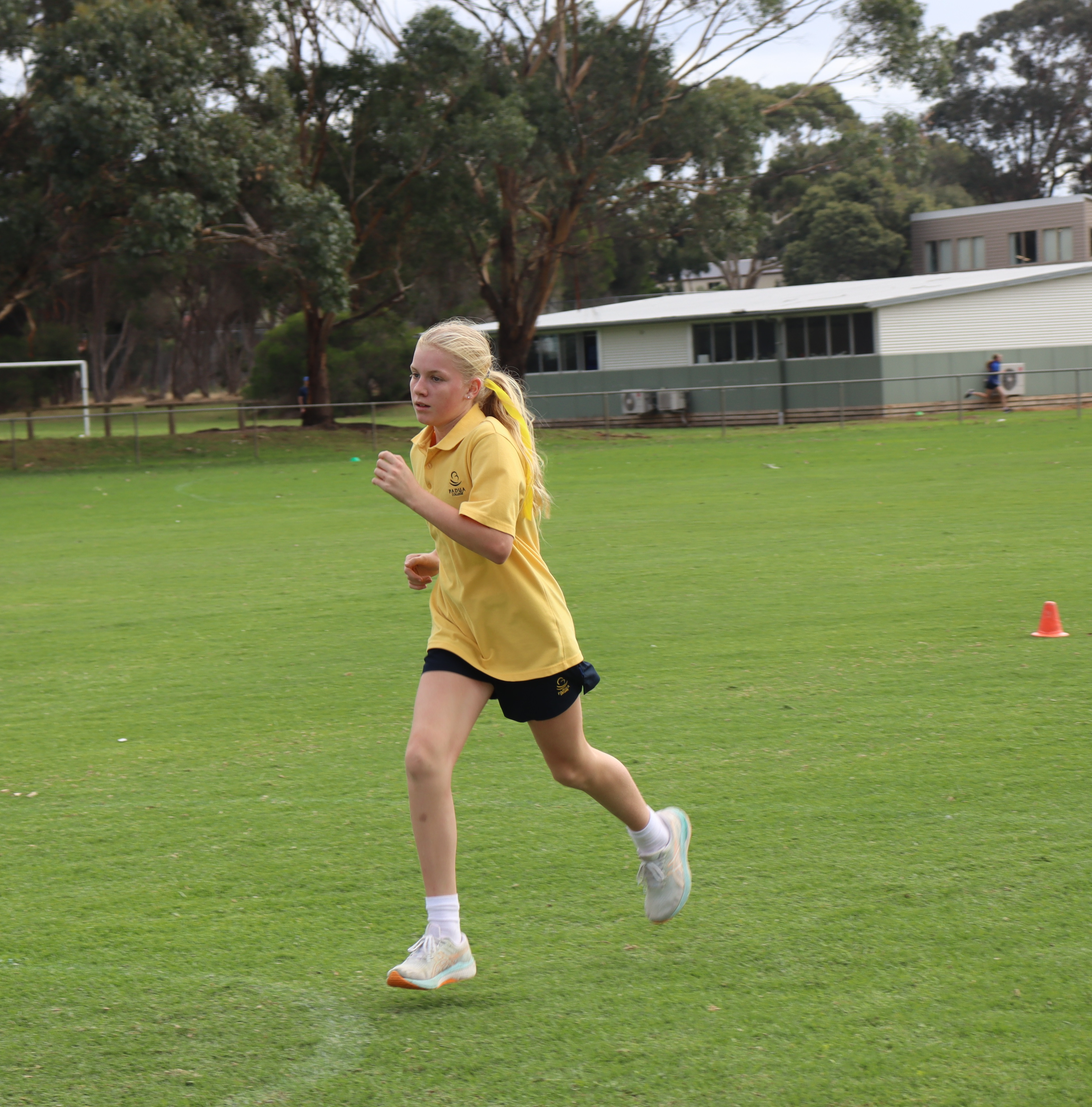 Mornington IMG 0023