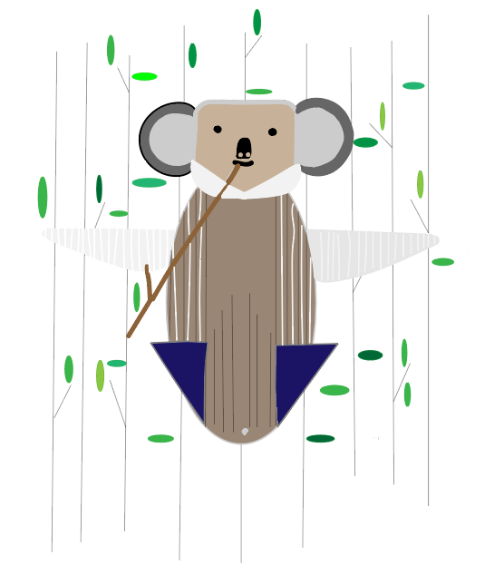 Alyse Lucas Goldsmith Koala Year 11 VCD