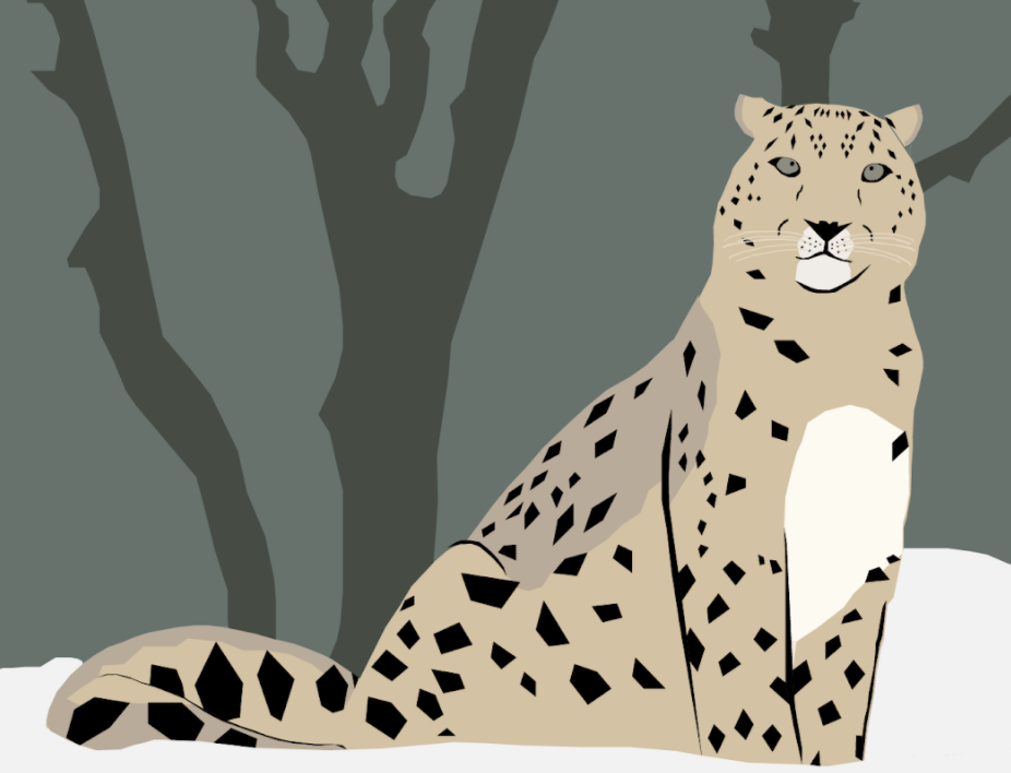 Blake Sterling Leopard Year 11 VCD