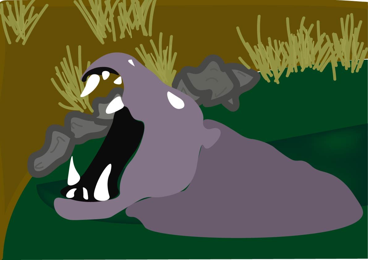 Lachlan Hodder Hippo