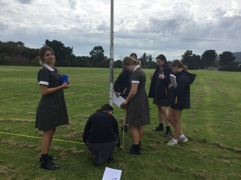 Rosebud Maths article 3