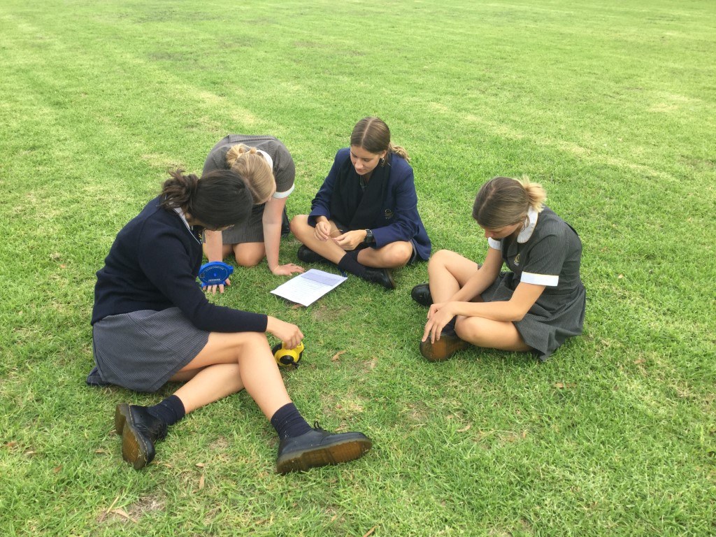 Rosebud Maths article 8