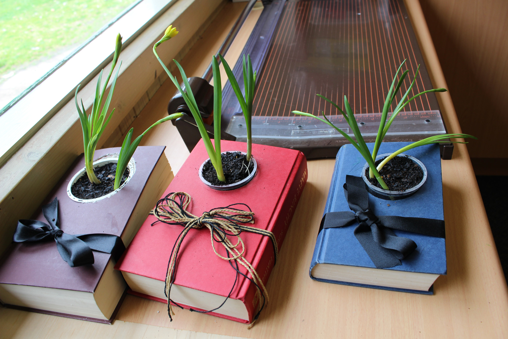 Read Grow Inspire planters 2