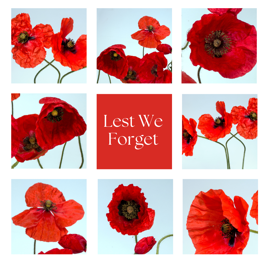Remembrance Day PIC