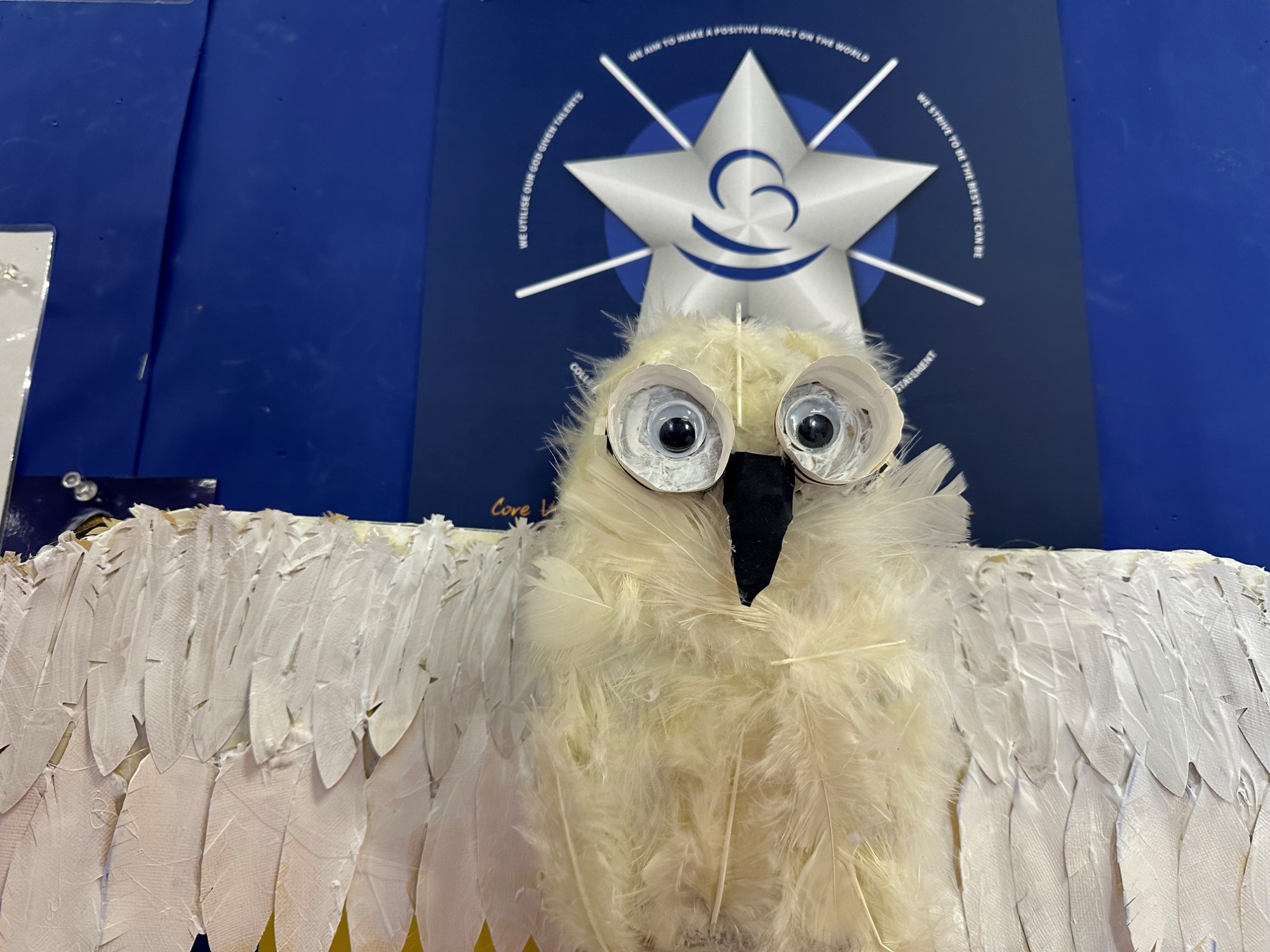 Rosebud Owl 2023 1