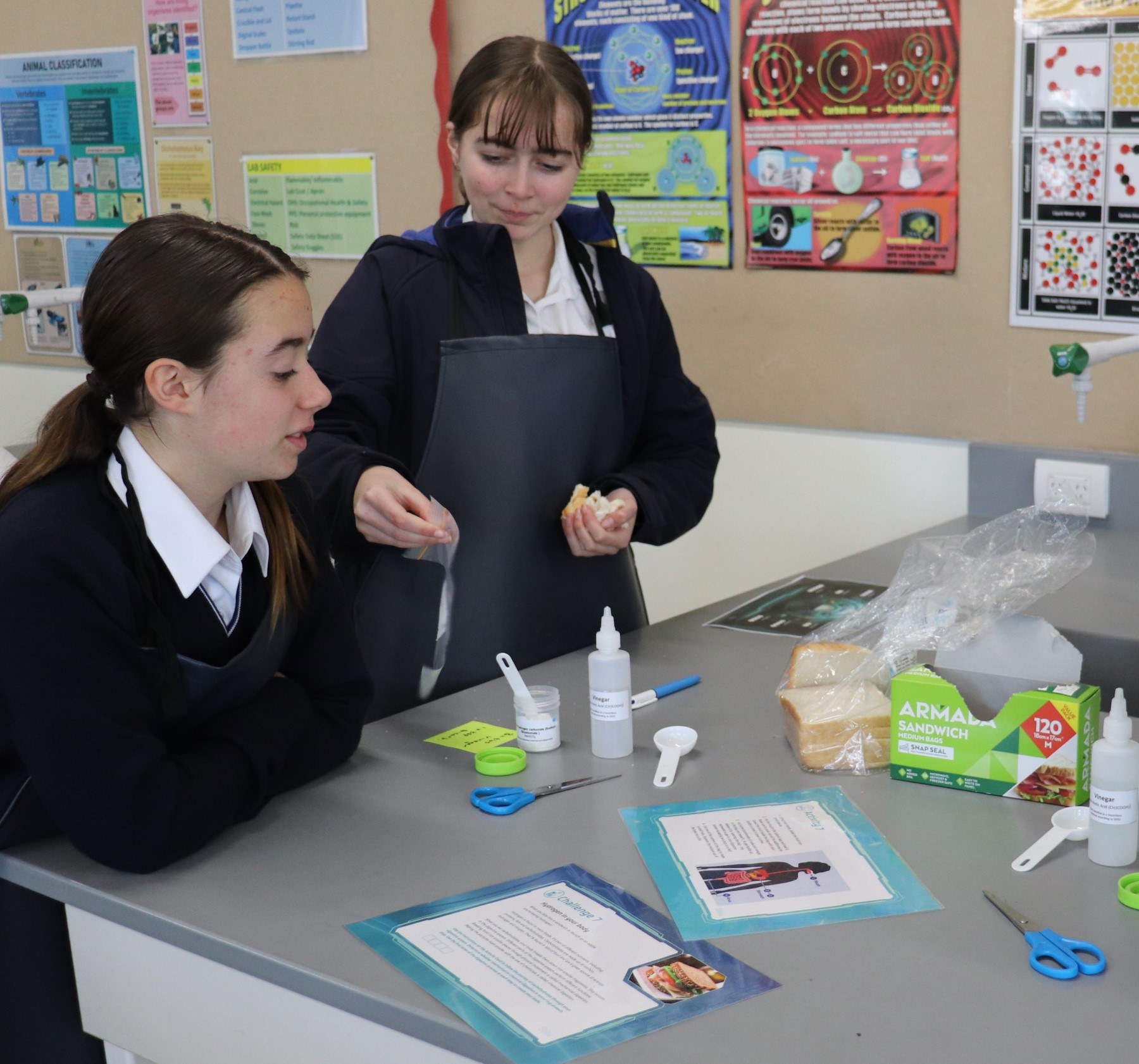 Science Week at Padua Tyabb 2023 8