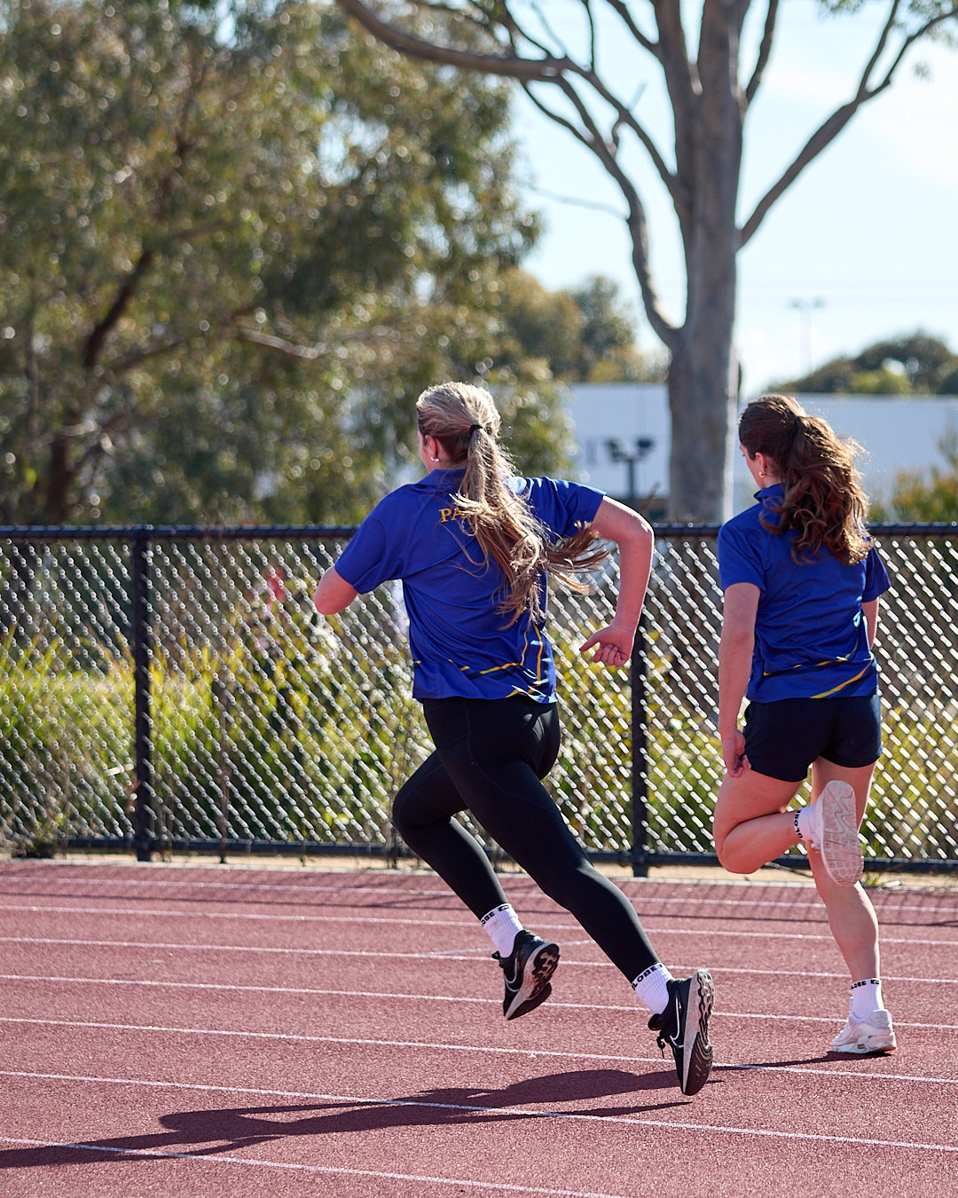 Senior Aths 24 web 2 S0 A1087