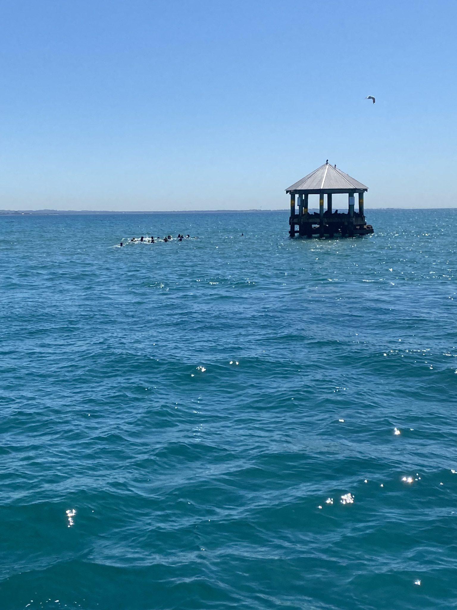 Tyabb Aspire9 Dolphne Swim Excursion 2023 1