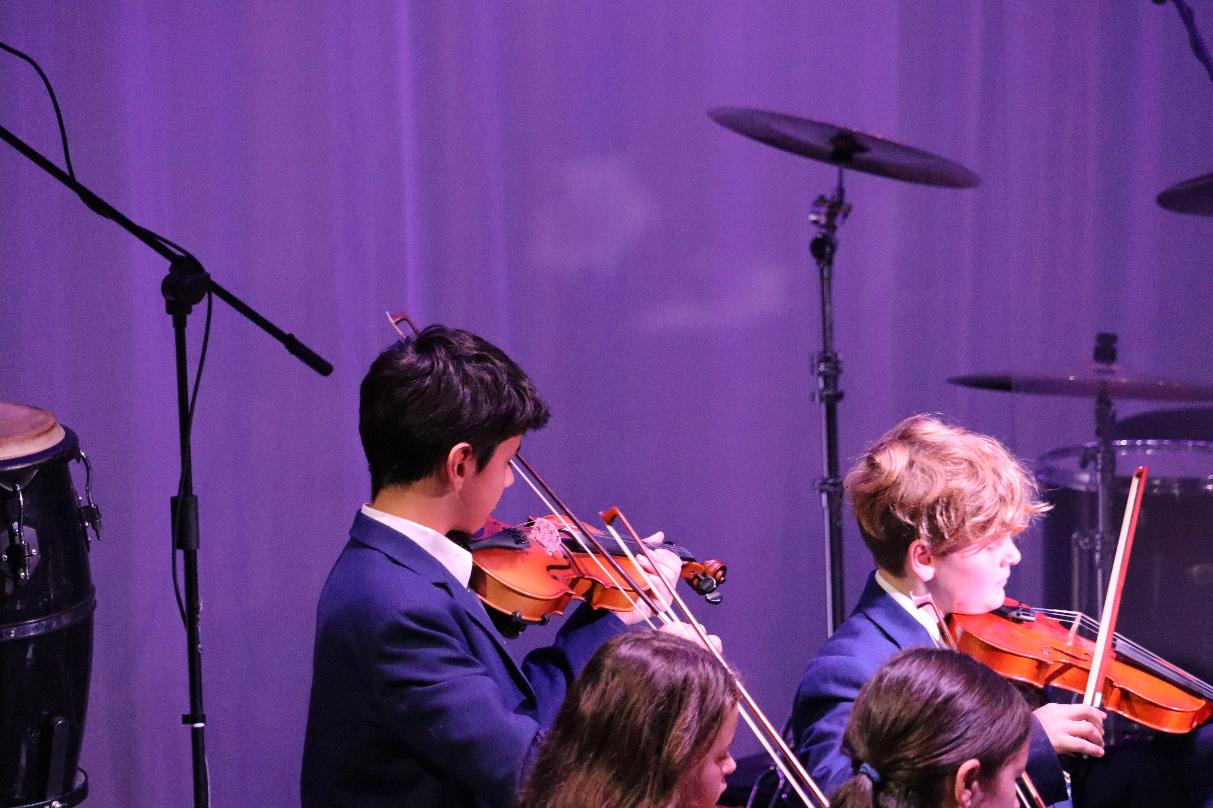 Vivaldi Strings 1