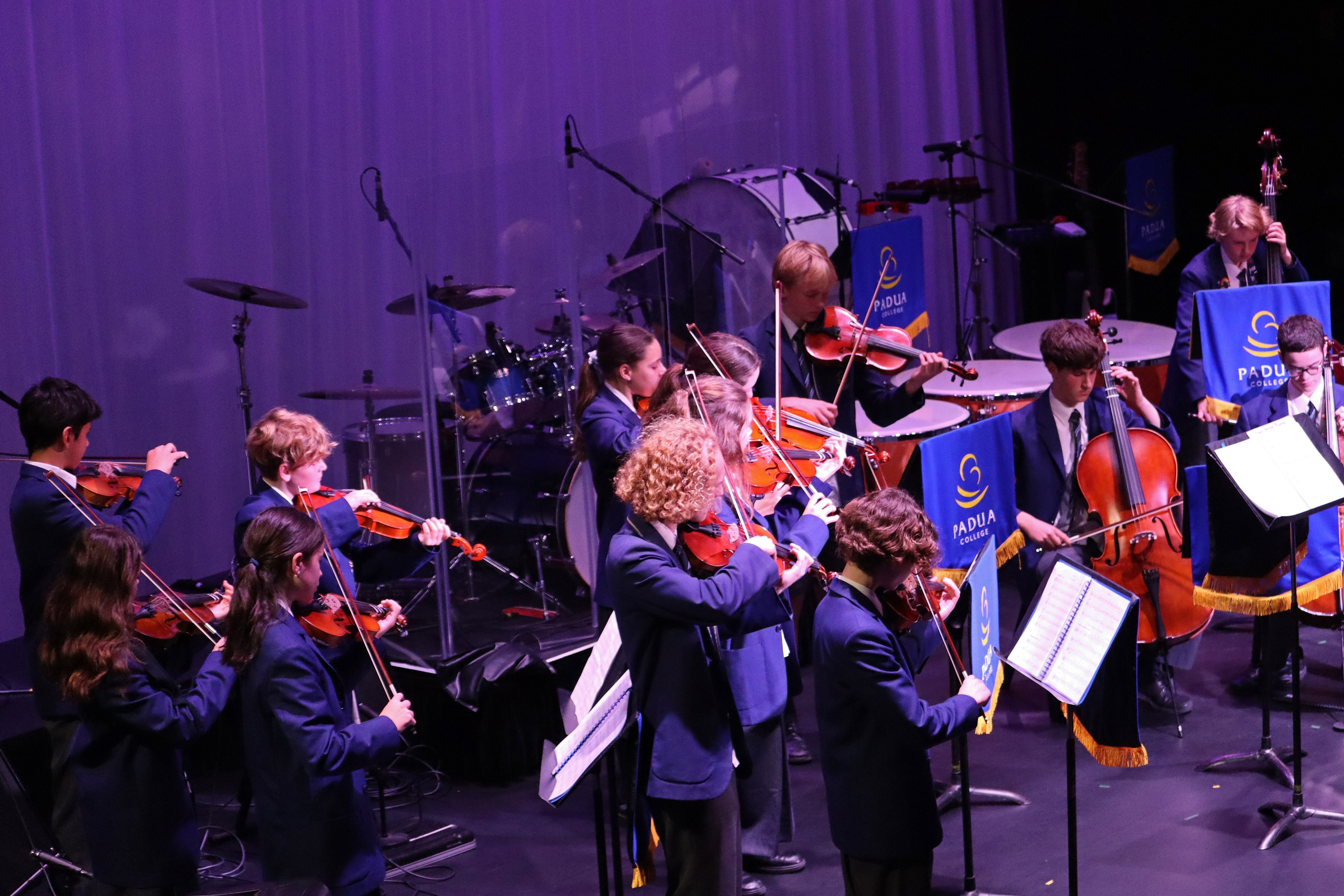 Vivaldi Strings 2