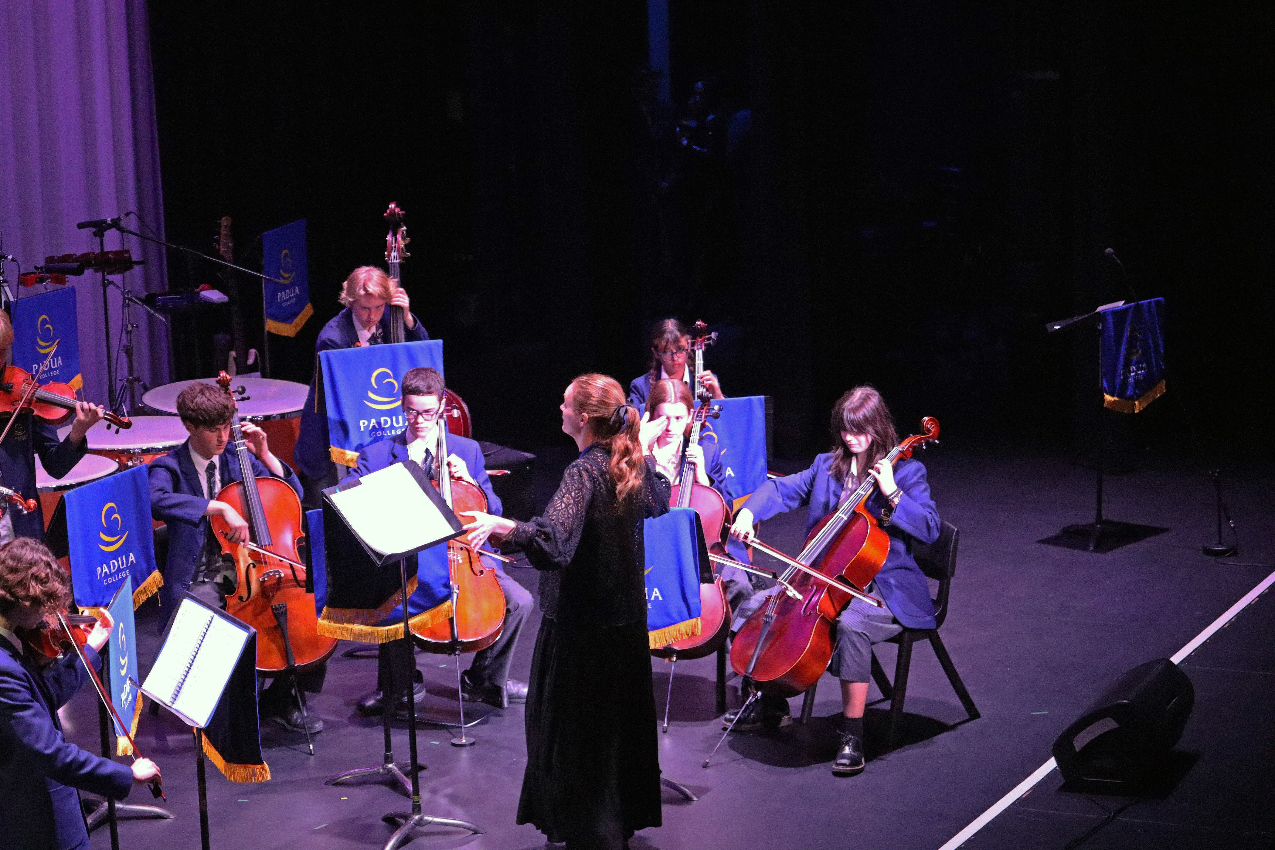 Vivaldi Strings 7
