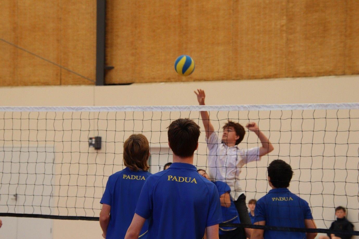 Volleyball Tyabb 2