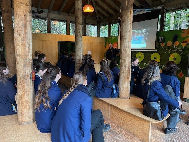 Y11 Philosophy Zoo excursion 2024 1