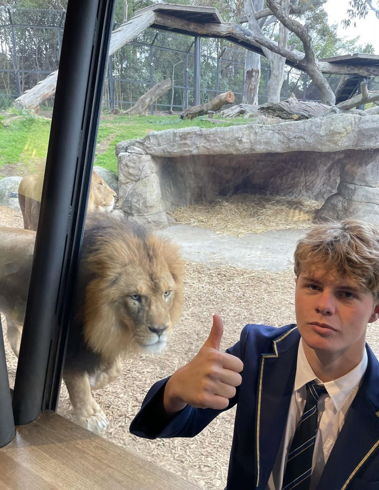 Y11 Philosophy Zoo excursion 2024 3