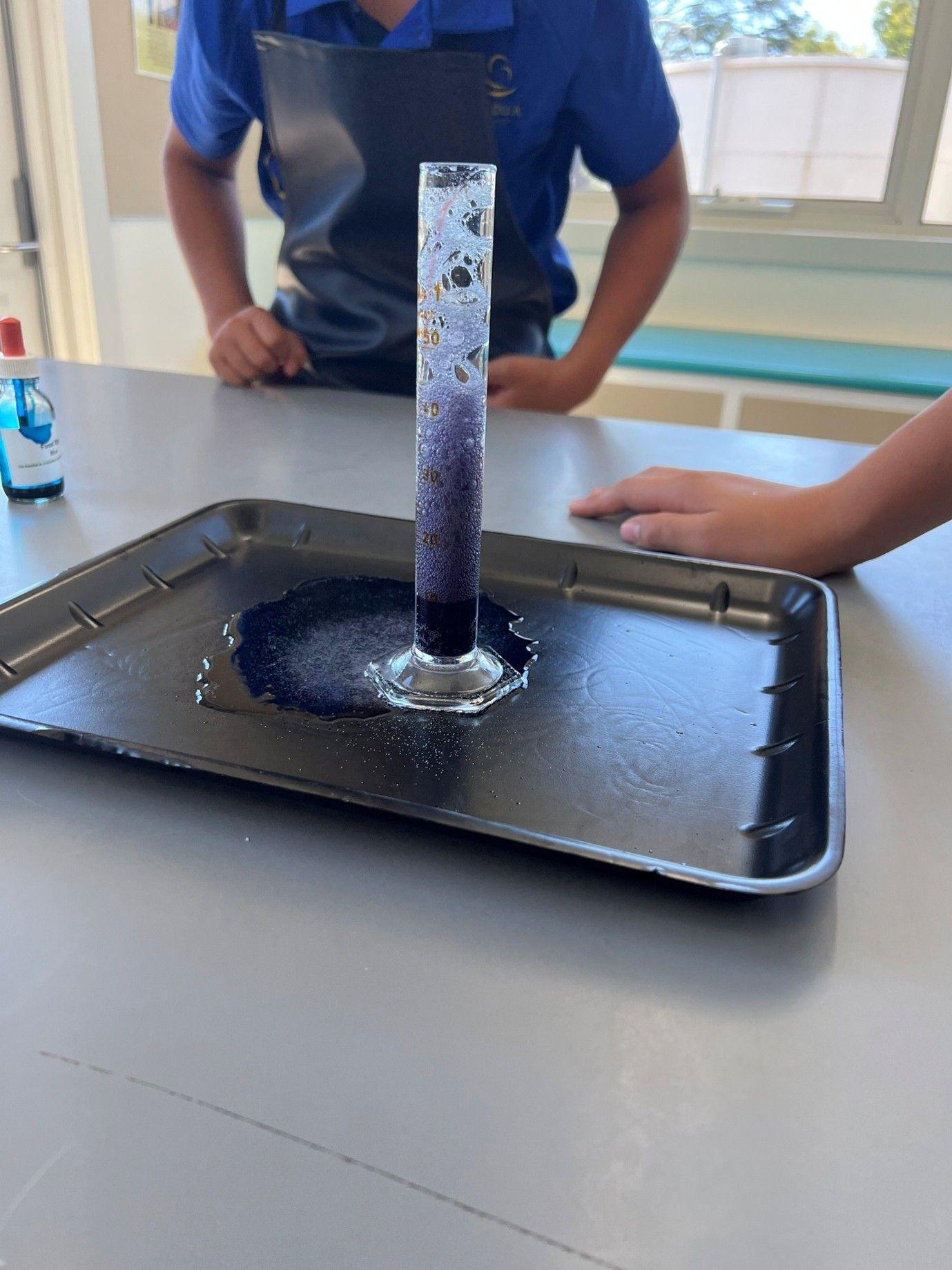 Year 7 Science Tyabb v2