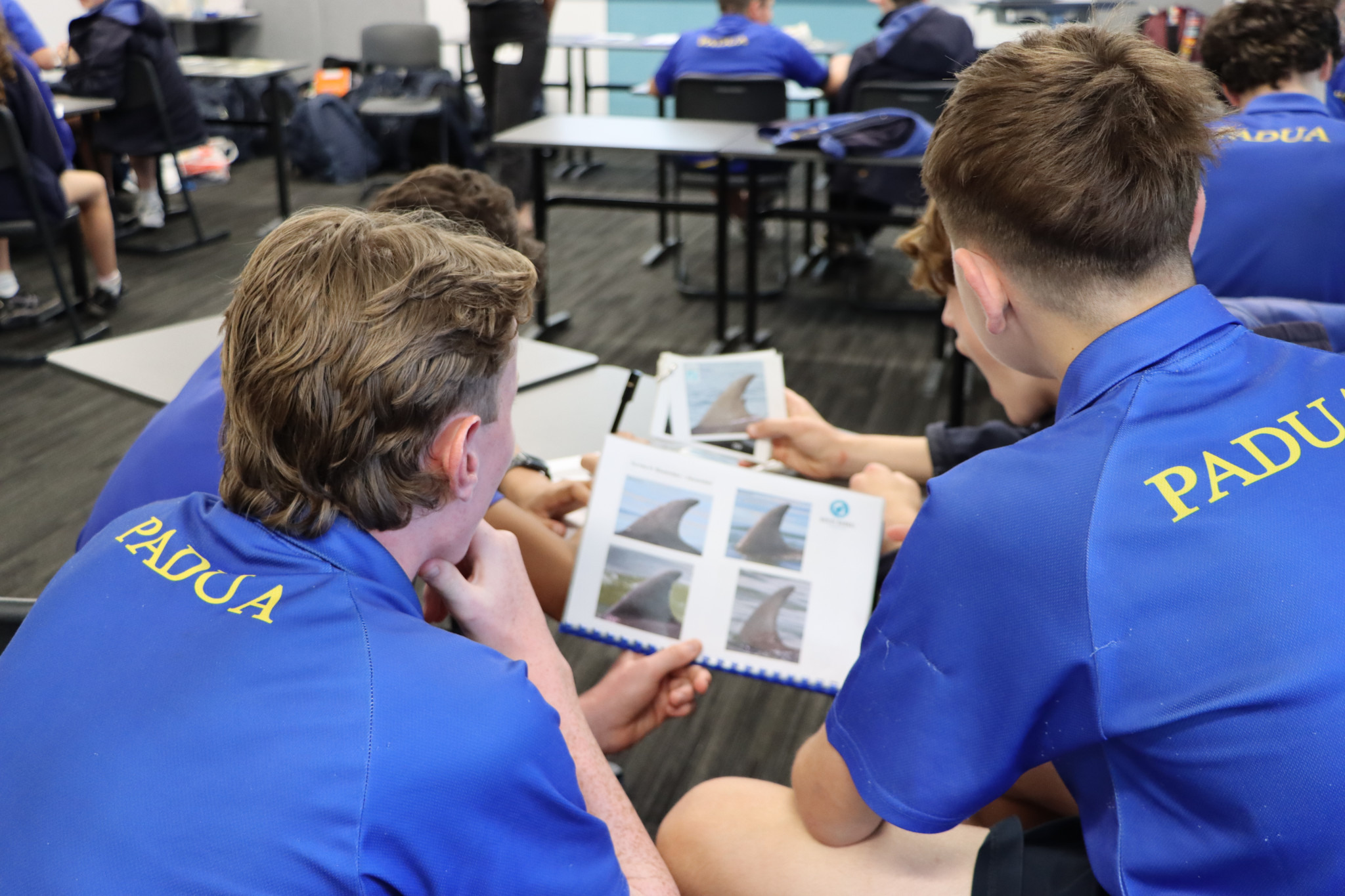 Year 9 Marine Mammals incursion 15