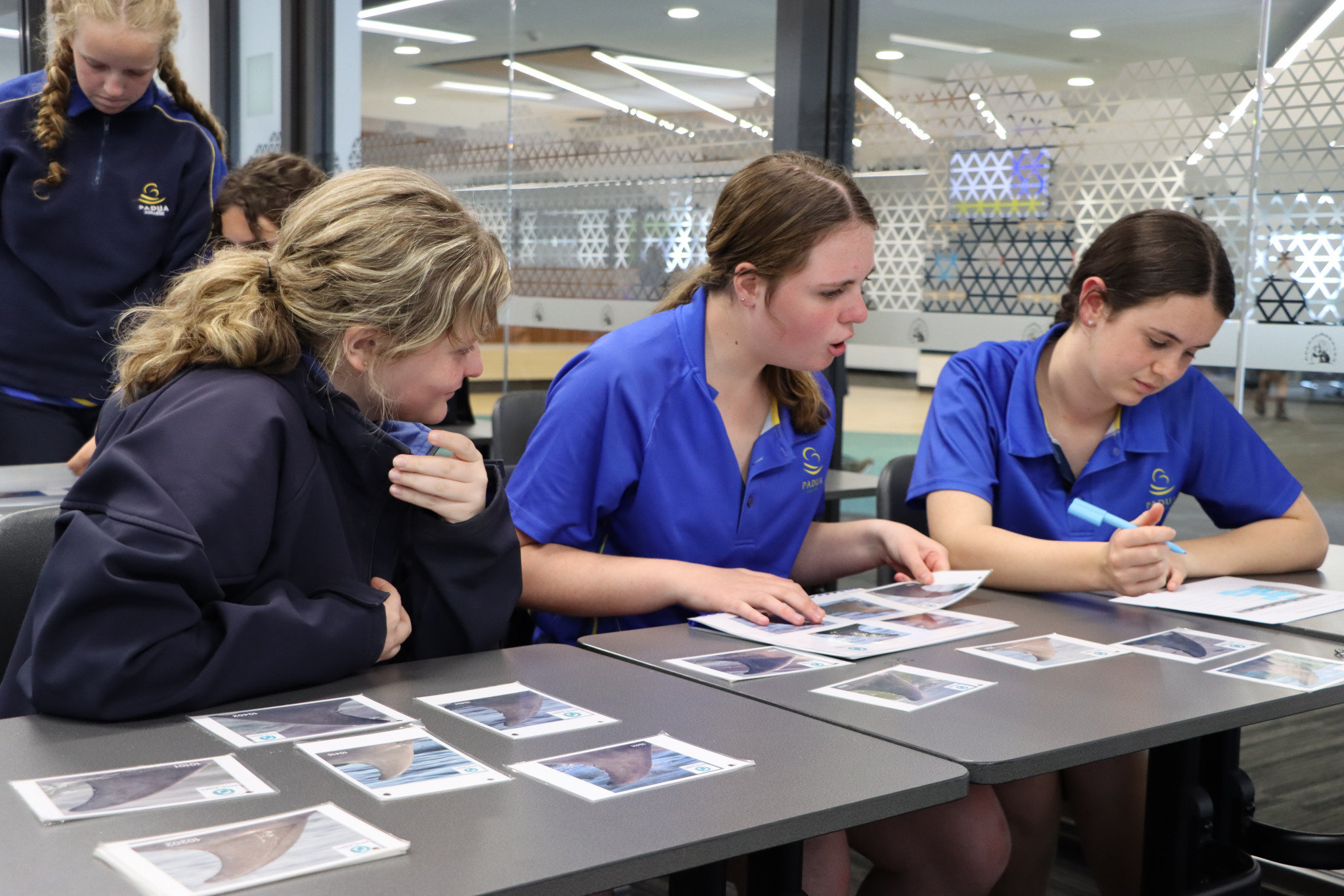 Year 9 Marine Mammals incursion 28