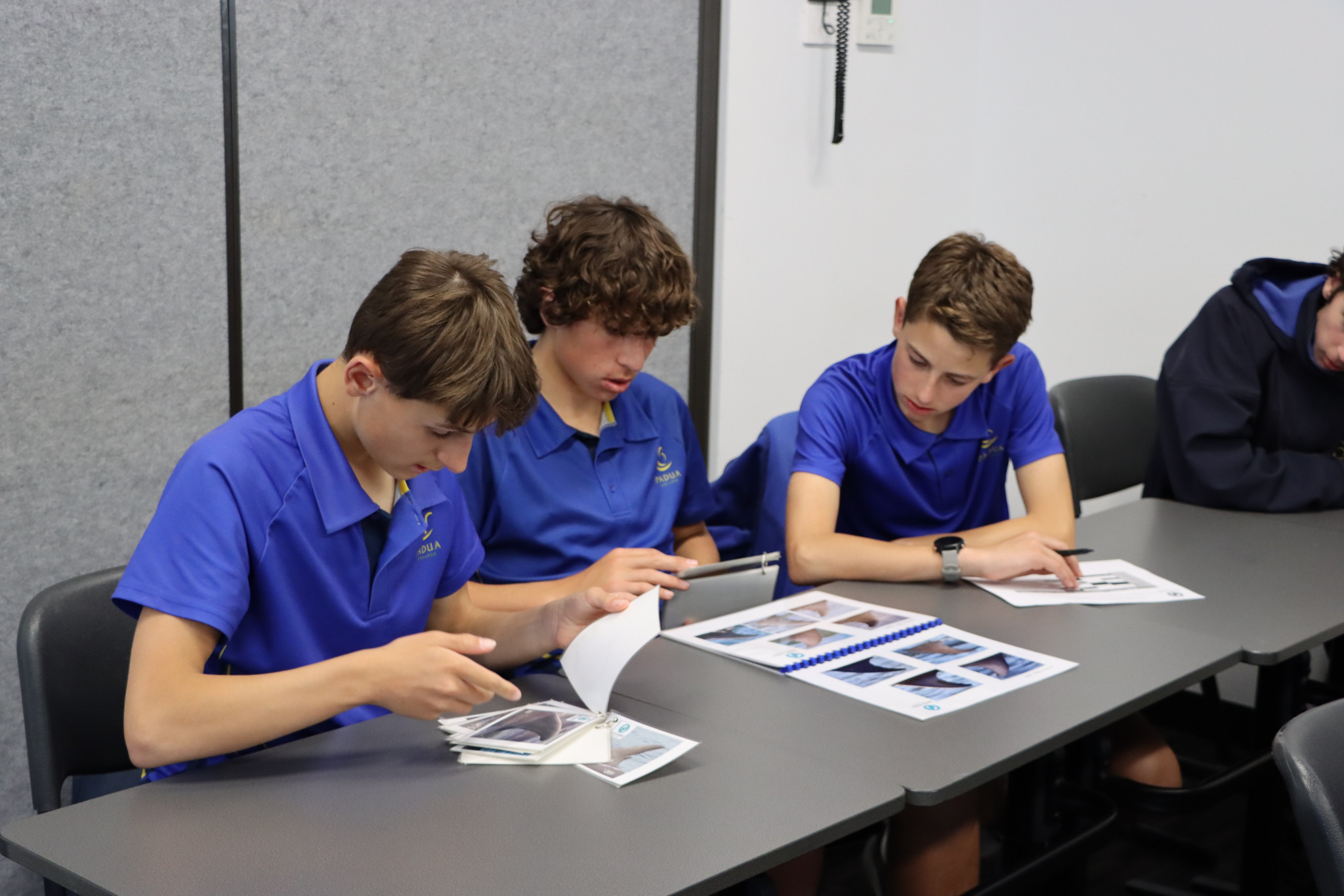Year 9 Marine Mammals incursion 8