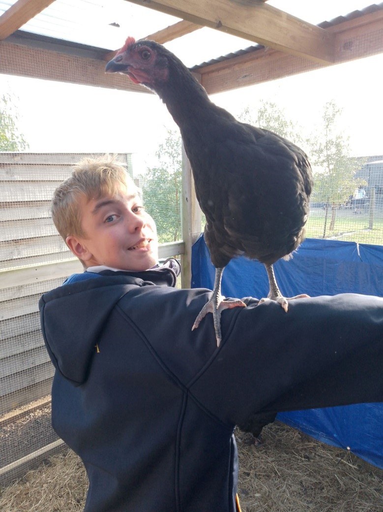 Chicken 1